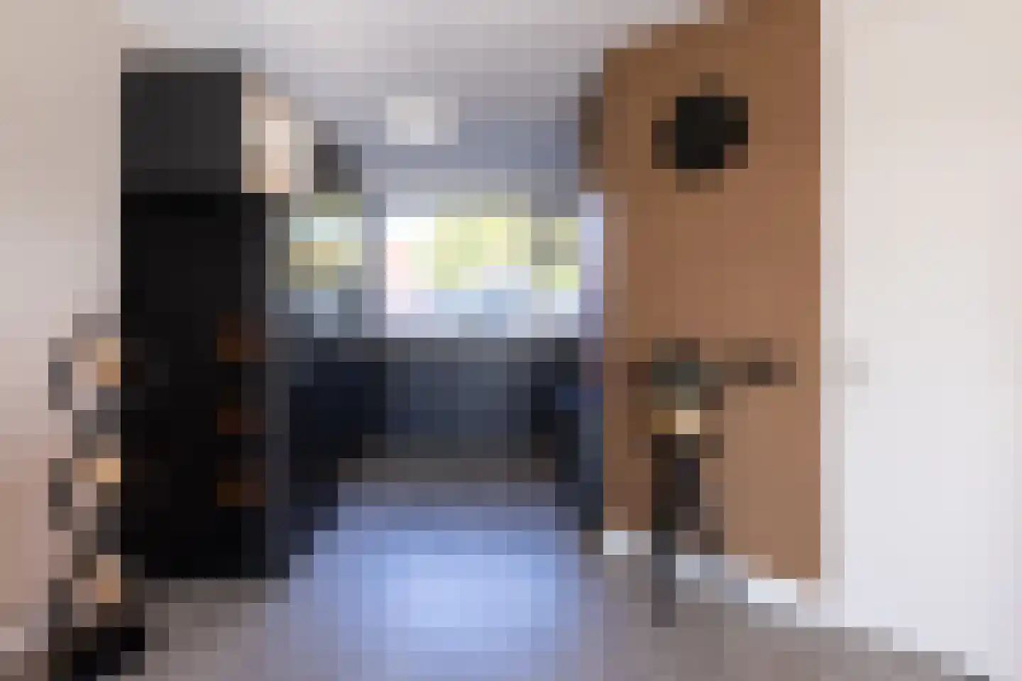 Koepeloven 23 Ulft thumbnail 5