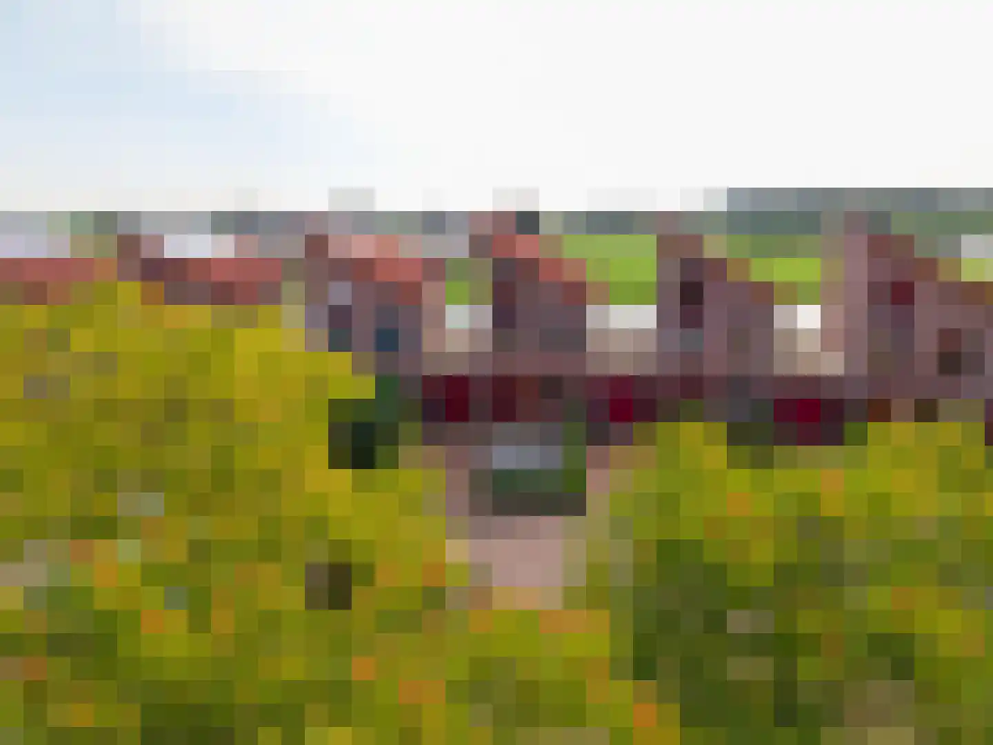 Koepeloven 23 Ulft thumbnail 8