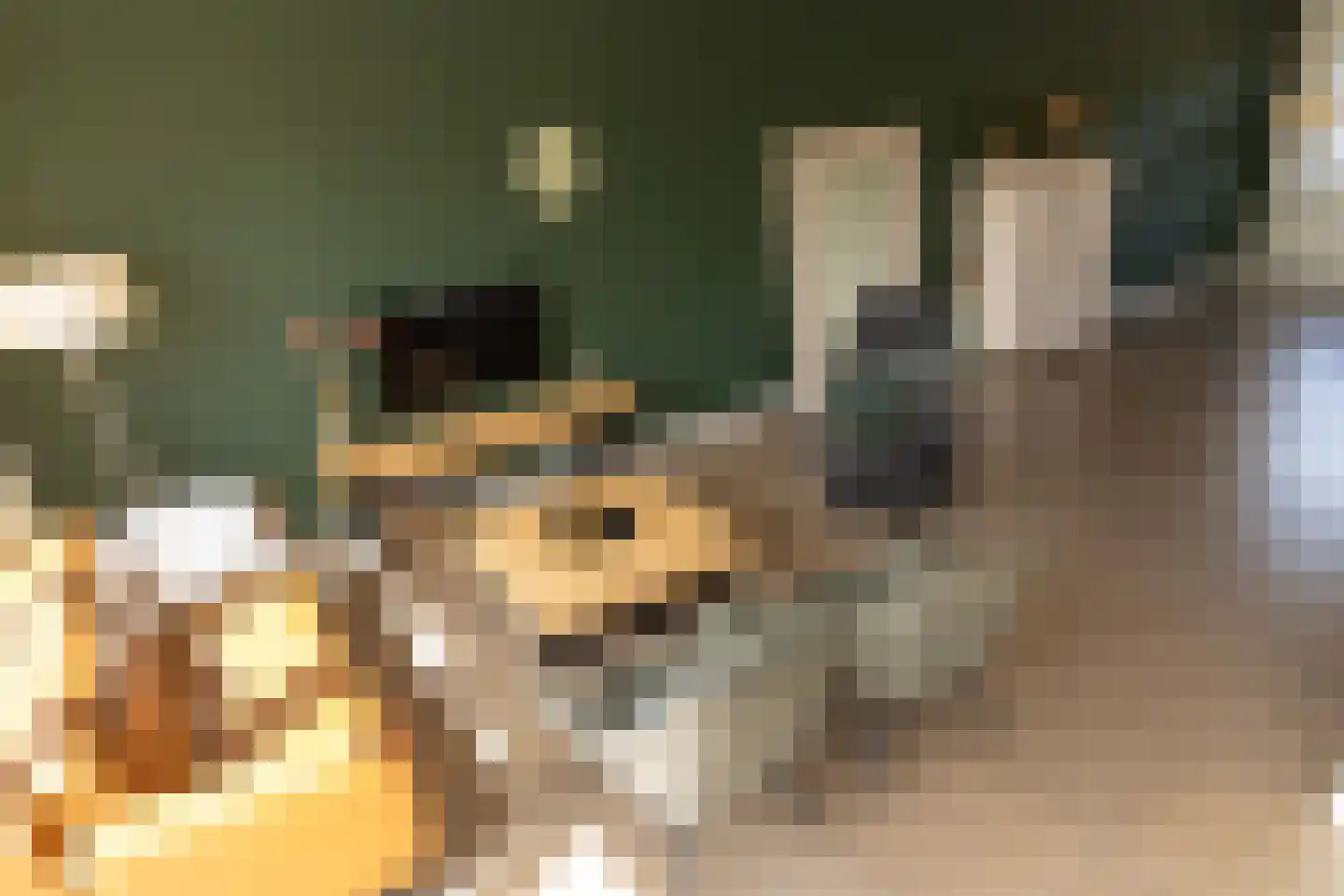 Koepeloven 24 Ulft thumbnail 12