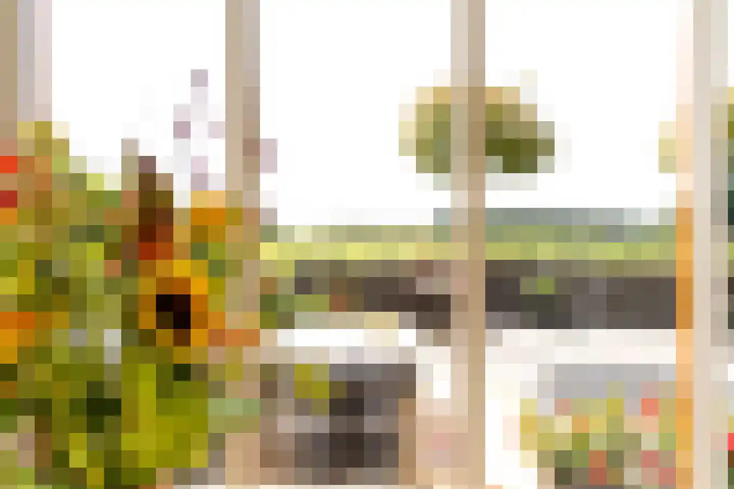 Koepeloven 24 Ulft thumbnail 17