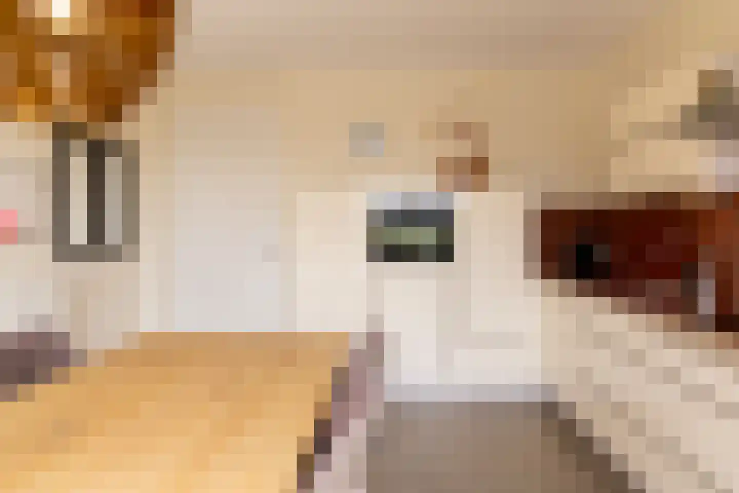 Koepeloven 24 Ulft thumbnail 18