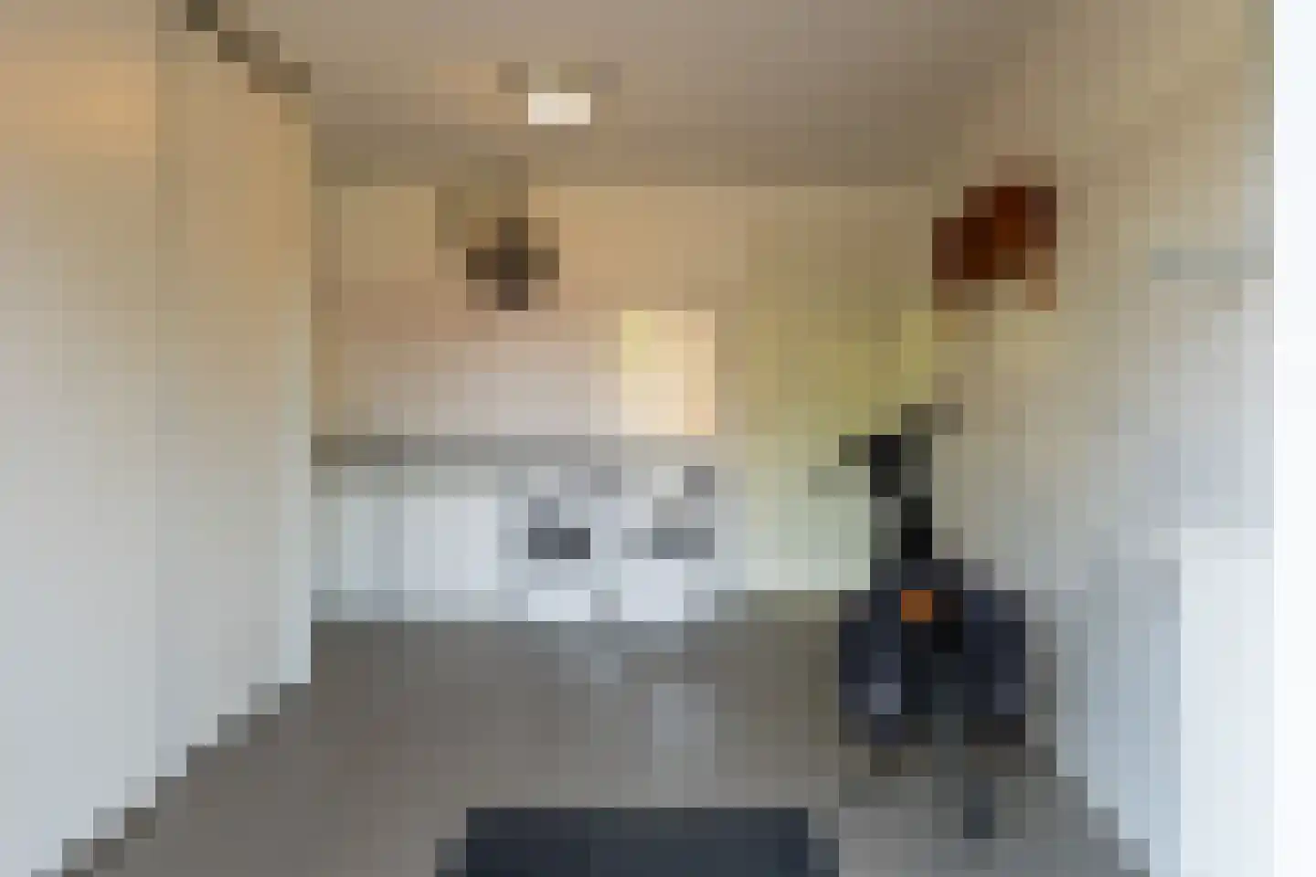 Koepeloven 24 Ulft thumbnail 19