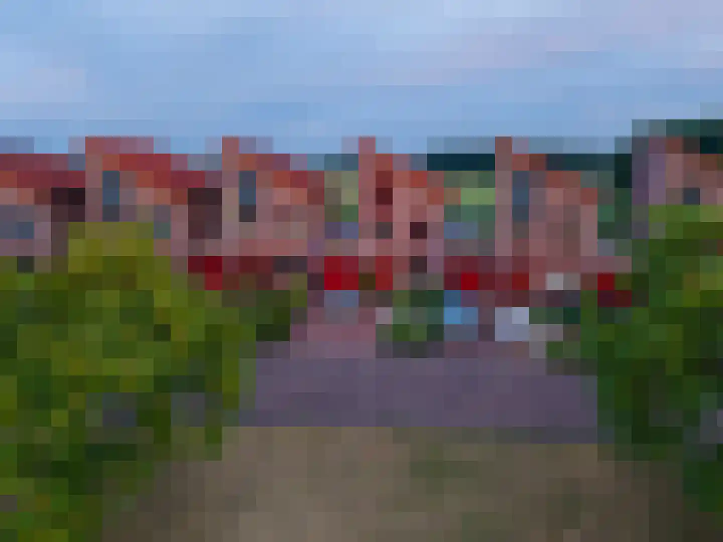 Koepeloven 24 Ulft thumbnail 4