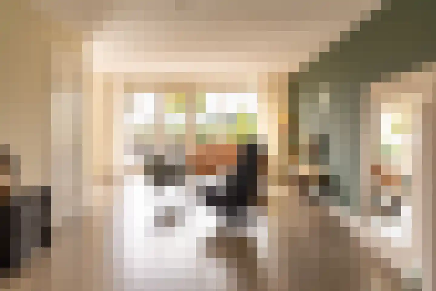 Koepeloven 24 Ulft thumbnail 9