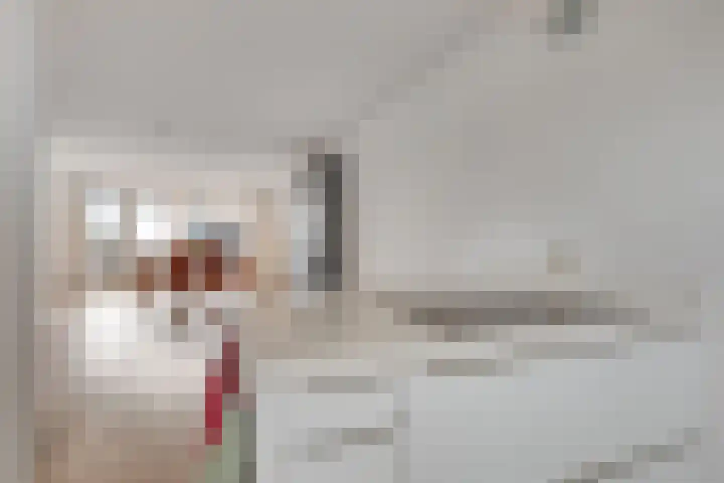 Koepeloven 28 Ulft thumbnail 15