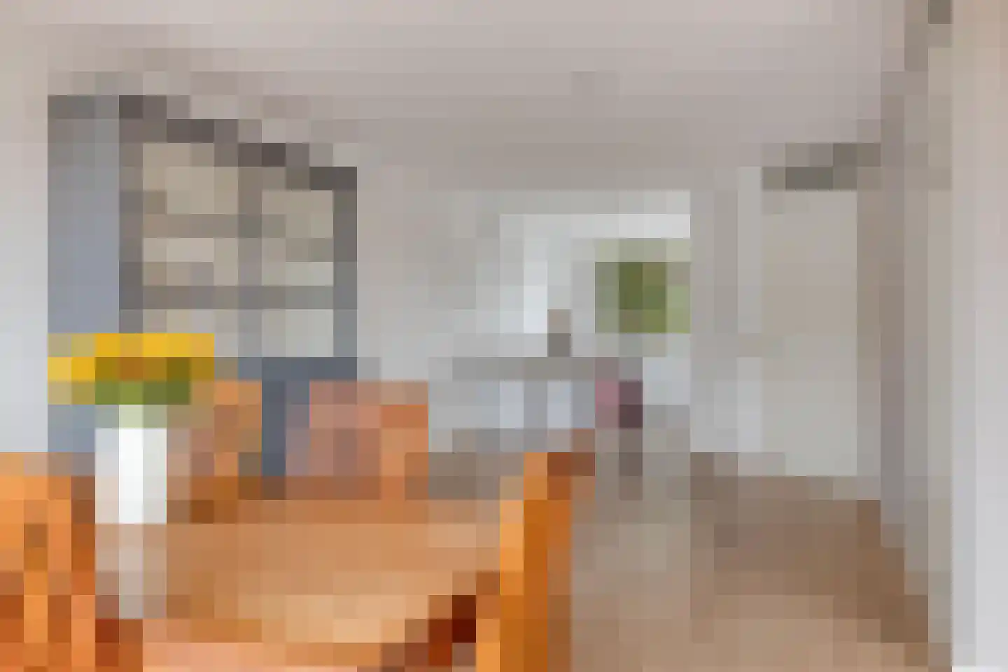 Koepeloven 28 Ulft thumbnail 17