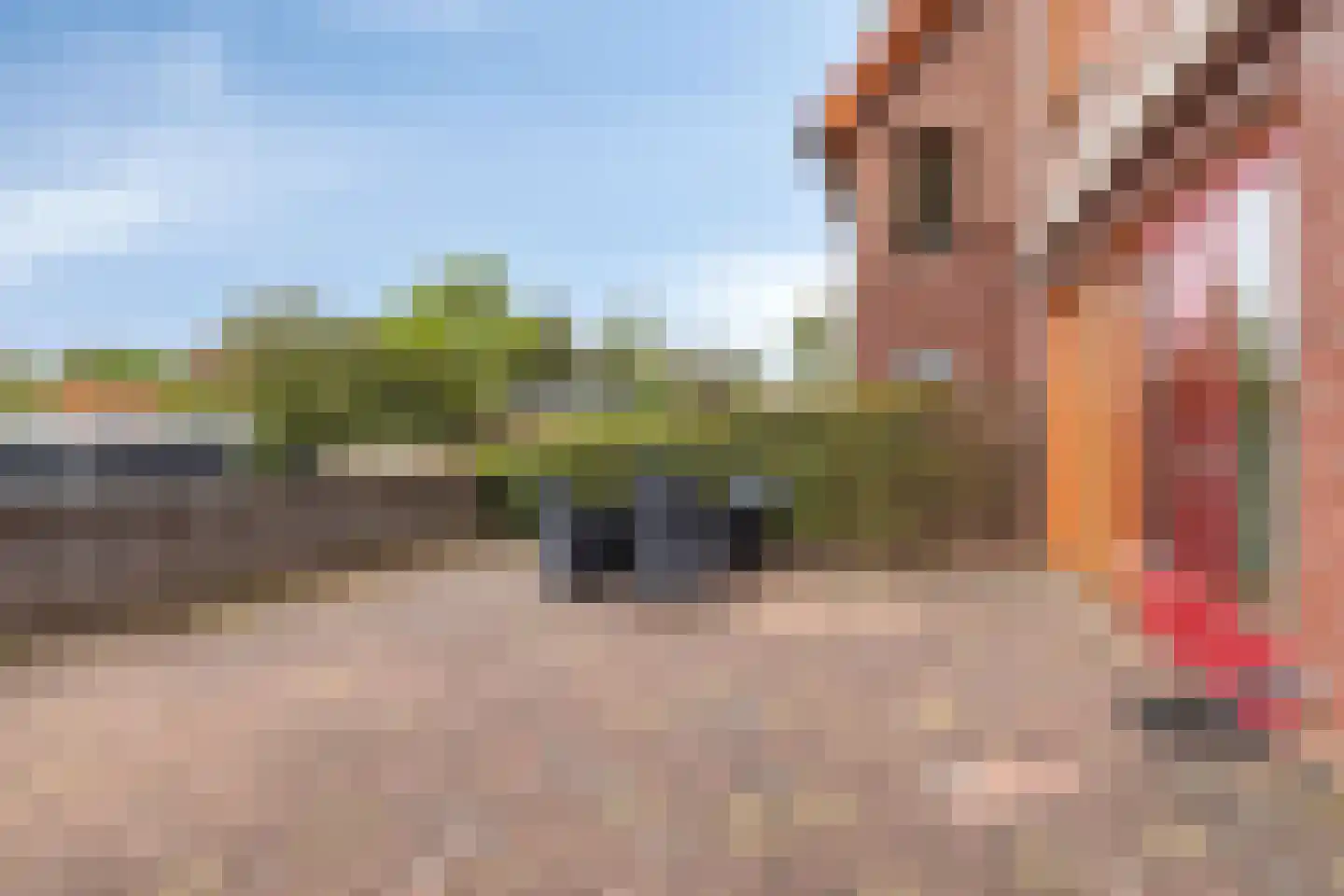 Koepeloven 28 Ulft thumbnail 41