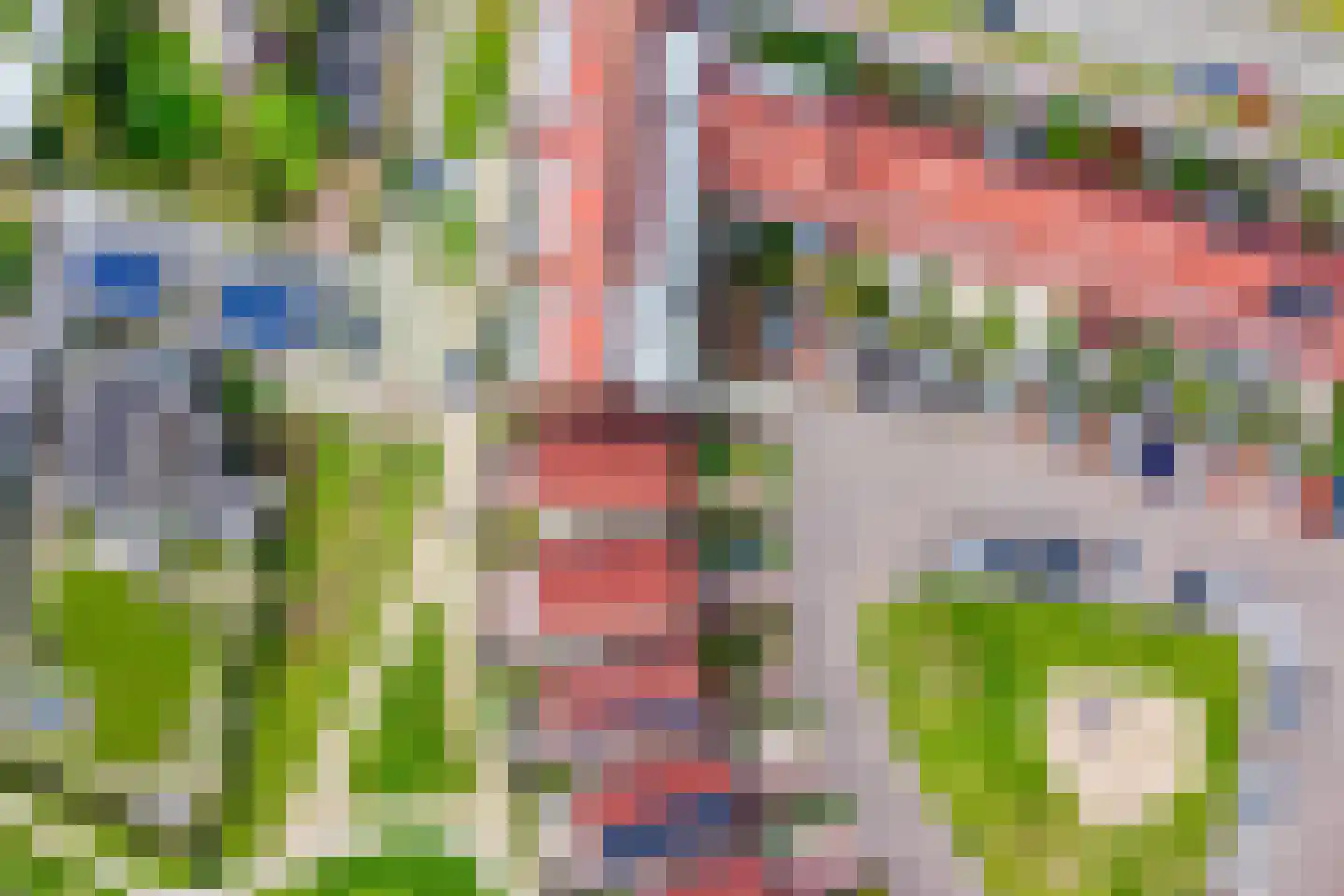 Koepeloven 28 Ulft thumbnail 53