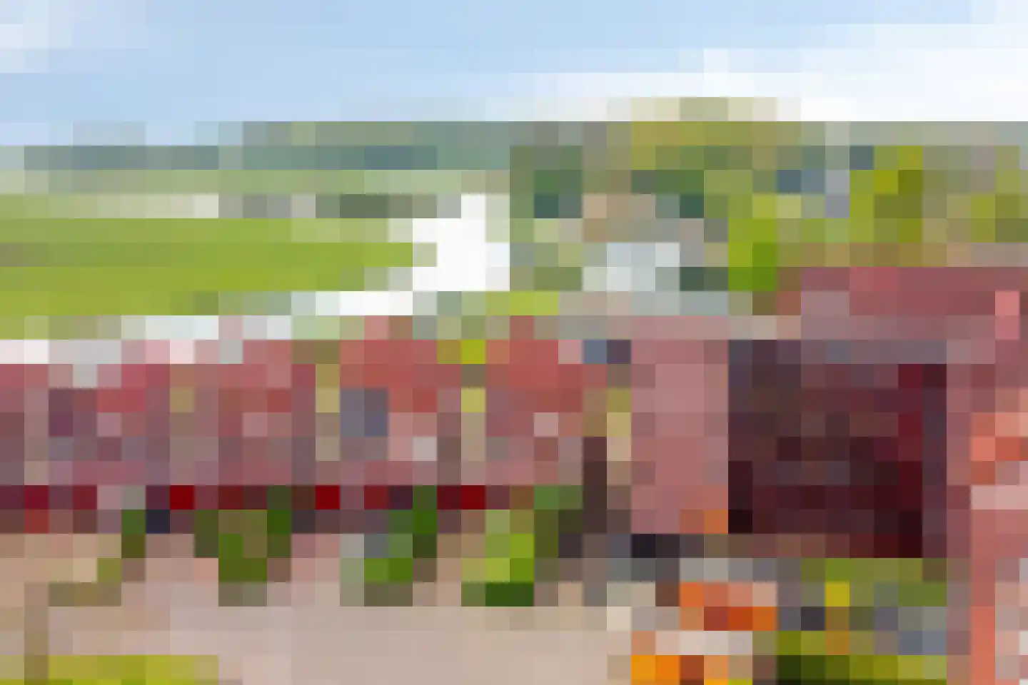 Koepeloven 28 Ulft thumbnail 7