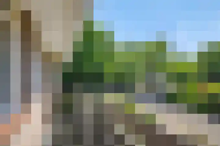 Koepelstraat 1 Rosmalen thumbnail 17