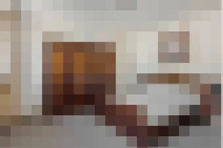Koepelstraat 1 Rosmalen thumbnail 18