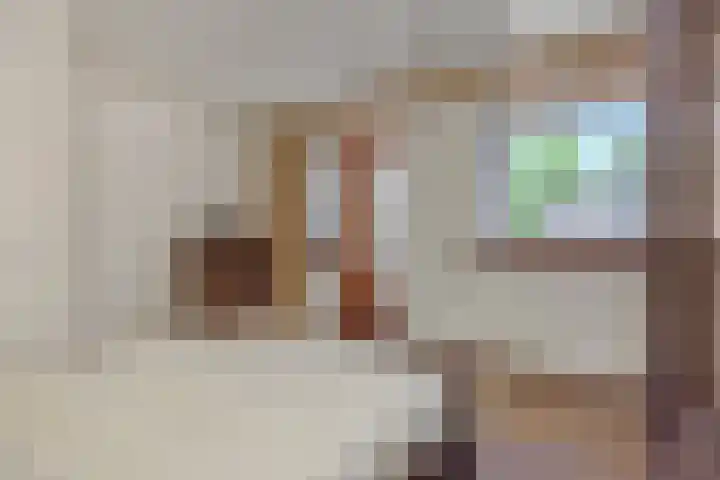 Koepelstraat 1 Rosmalen thumbnail 19