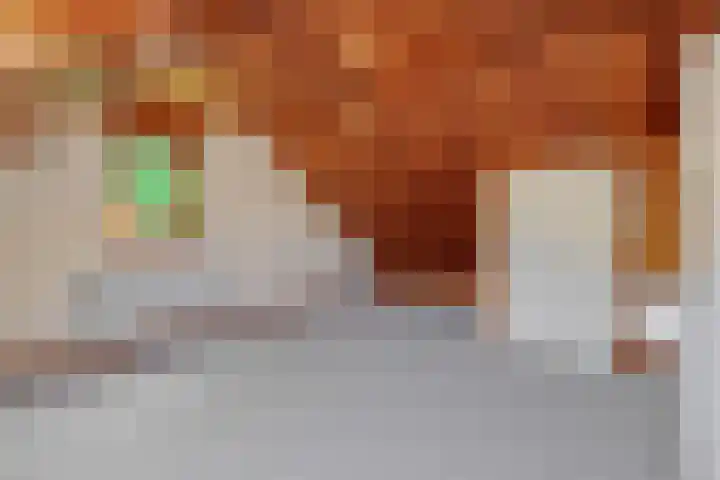 Koepelstraat 1 Rosmalen thumbnail 30