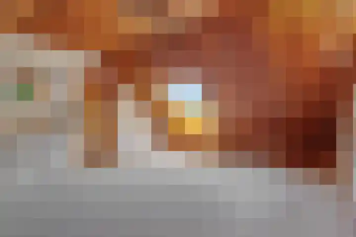 Koepelstraat 1 Rosmalen thumbnail 31