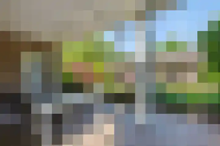 Koepelstraat 1 Rosmalen thumbnail 32