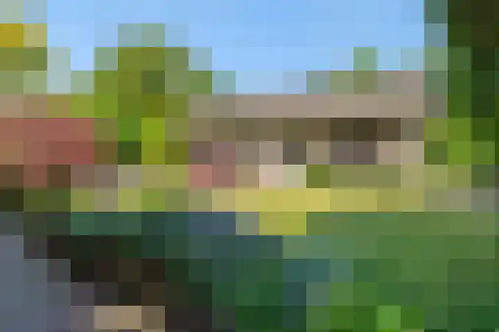 Koepelstraat 1 Rosmalen thumbnail 33