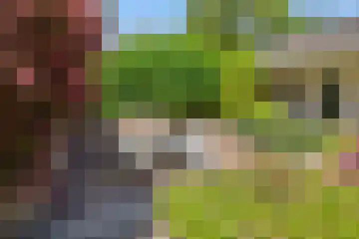 Koepelstraat 1 Rosmalen thumbnail 35