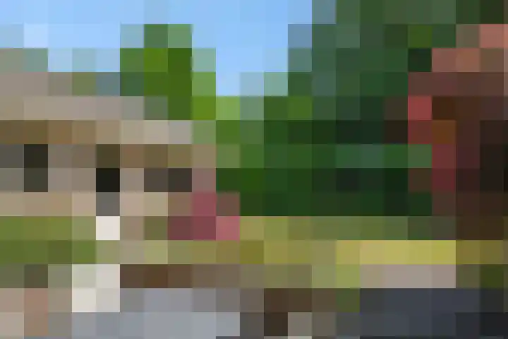 Koepelstraat 1 Rosmalen thumbnail 36