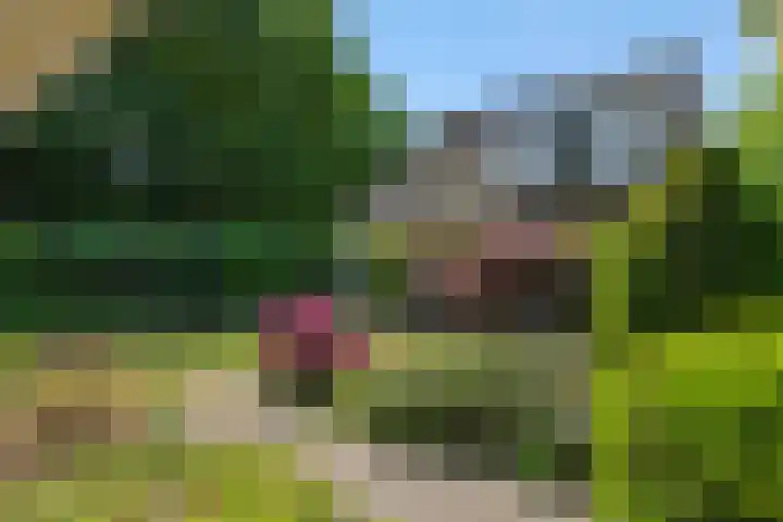 Koepelstraat 1 Rosmalen thumbnail 37