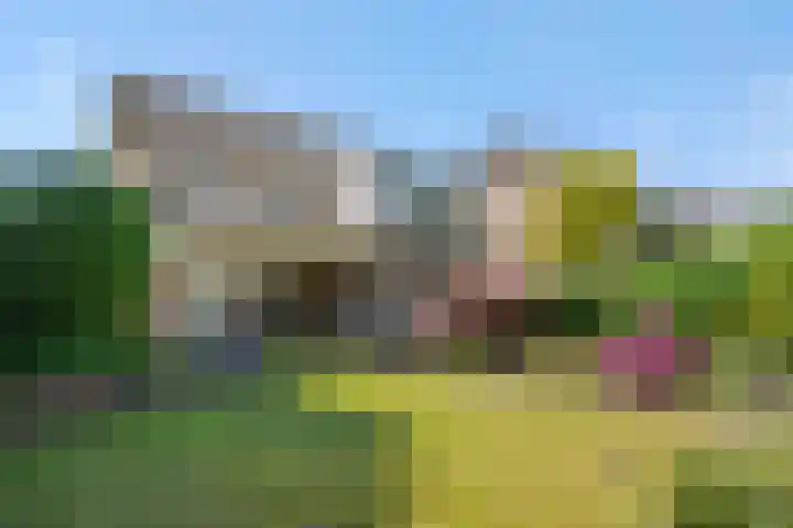 Koepelstraat 1 Rosmalen thumbnail 38