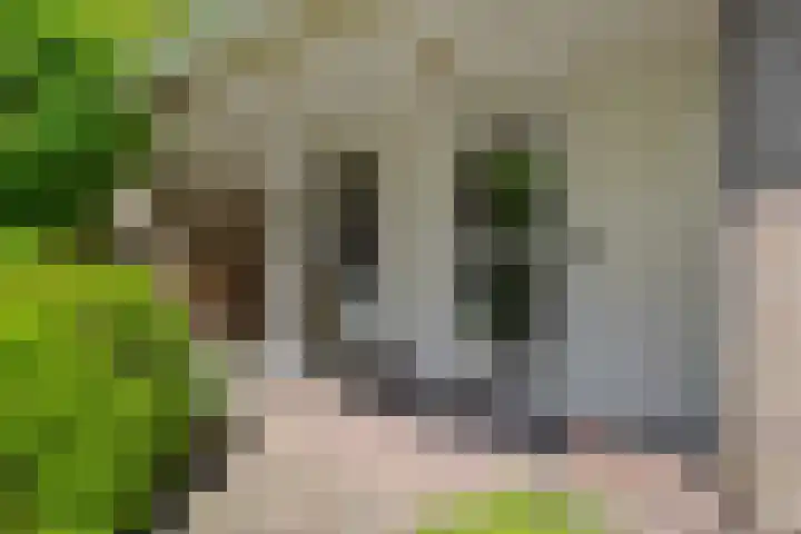 Koepelstraat 1 Rosmalen thumbnail 42