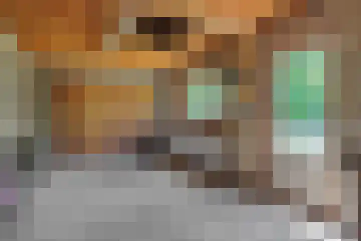 Koepelstraat 1 Rosmalen thumbnail 43