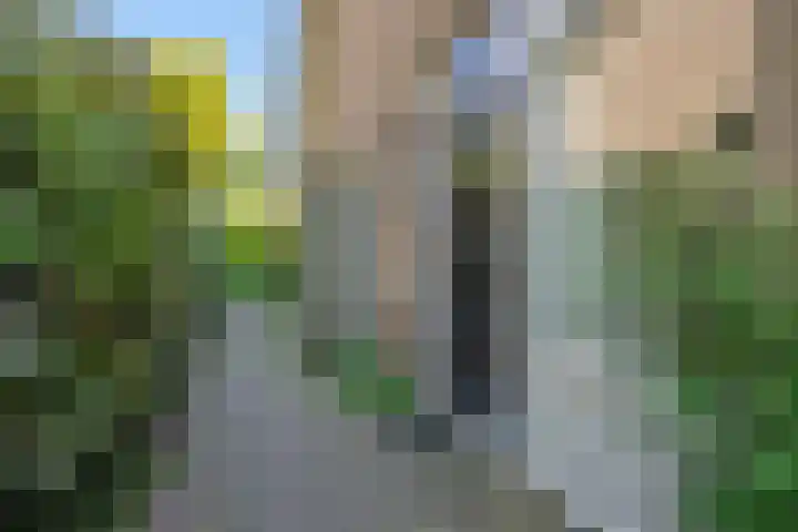 Koepelstraat 1 Rosmalen thumbnail 44