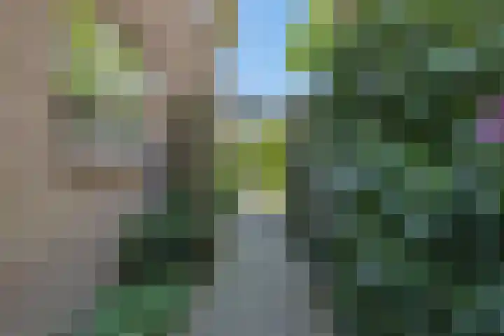 Koepelstraat 1 Rosmalen thumbnail 45