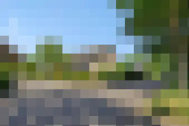 Koepelstraat 1 Rosmalen thumbnail 46