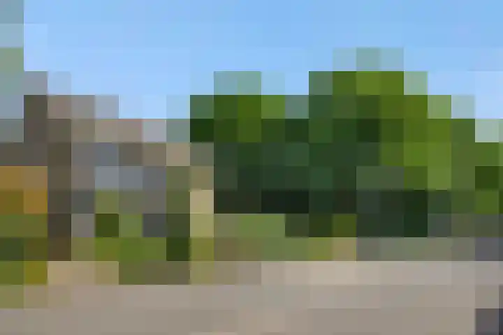 Koepelstraat 1 Rosmalen thumbnail 47
