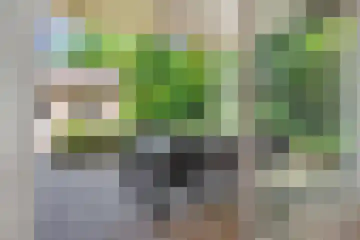 Koepelstraat 1 Rosmalen thumbnail 8