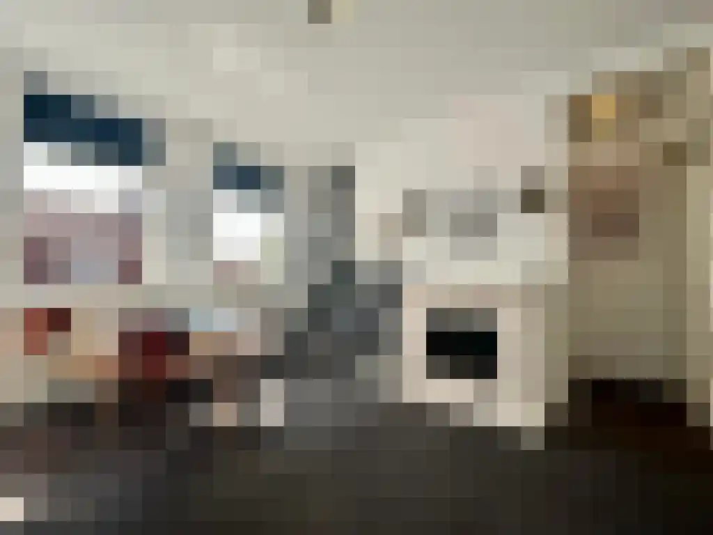 Koepelstraat 12 Bergen op Zoom thumbnail 5