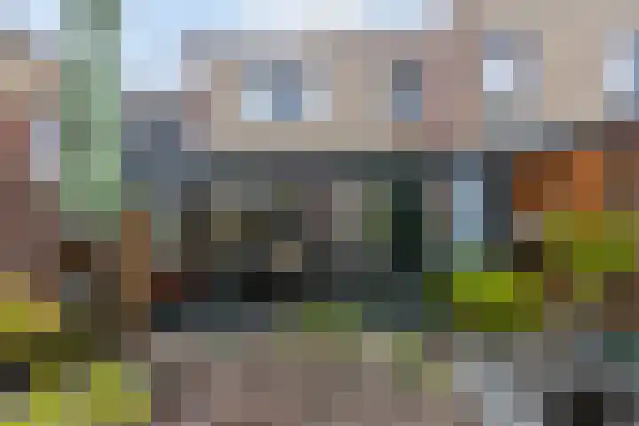 Koepelstraat 38 Bergen op Zoom thumbnail 13