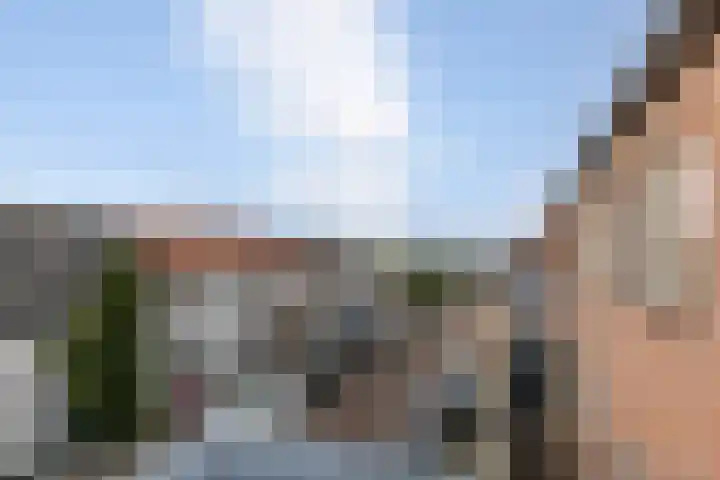 Koepelstraat 38 Bergen op Zoom thumbnail 22