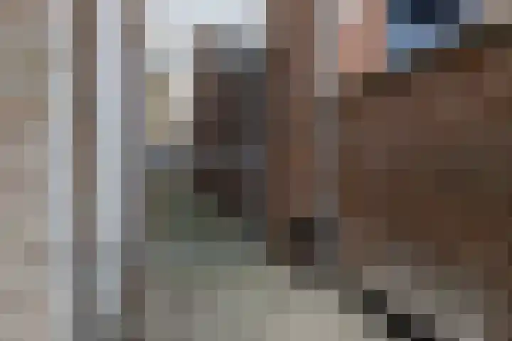Koepelstraat 38 Bergen op Zoom thumbnail 25