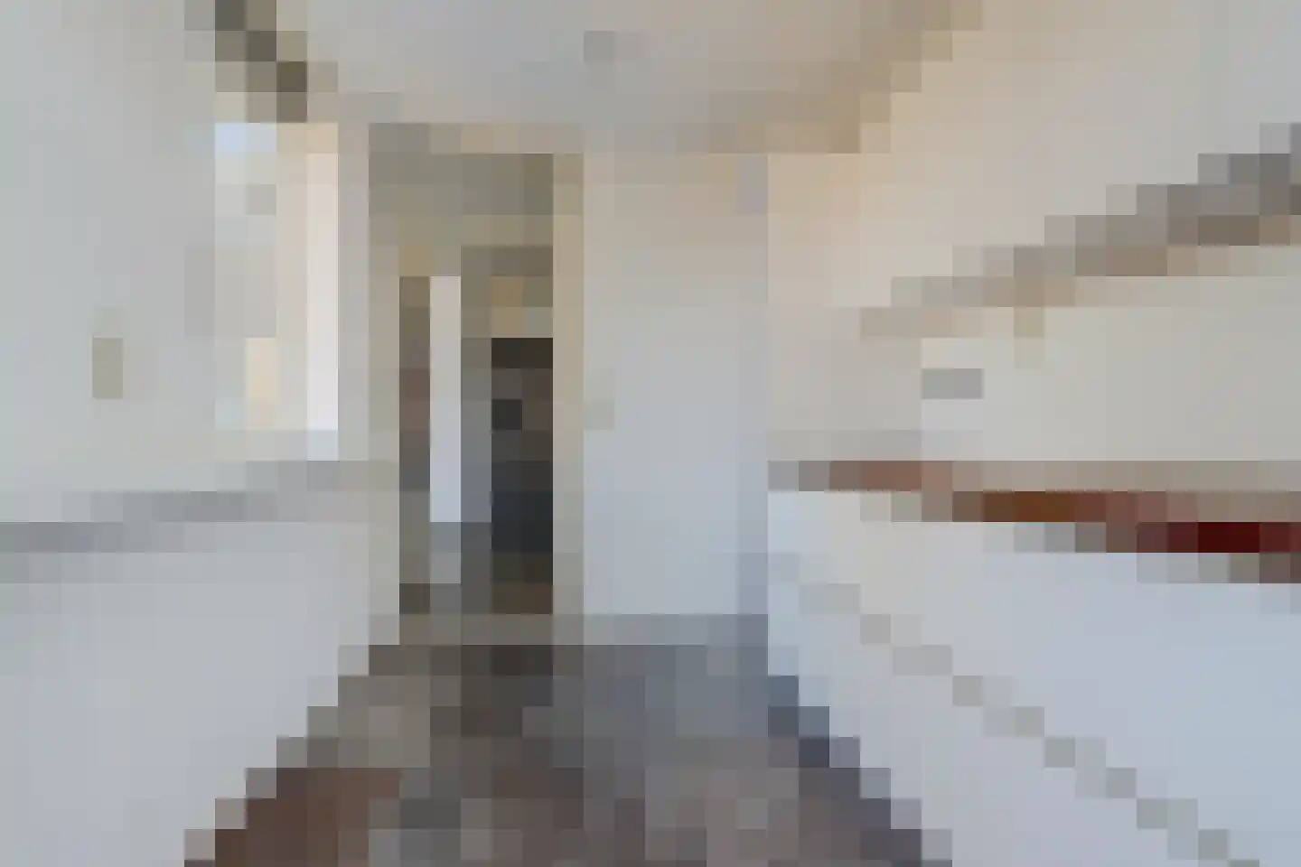 Koepelstraat 39 Bergen op Zoom thumbnail 19