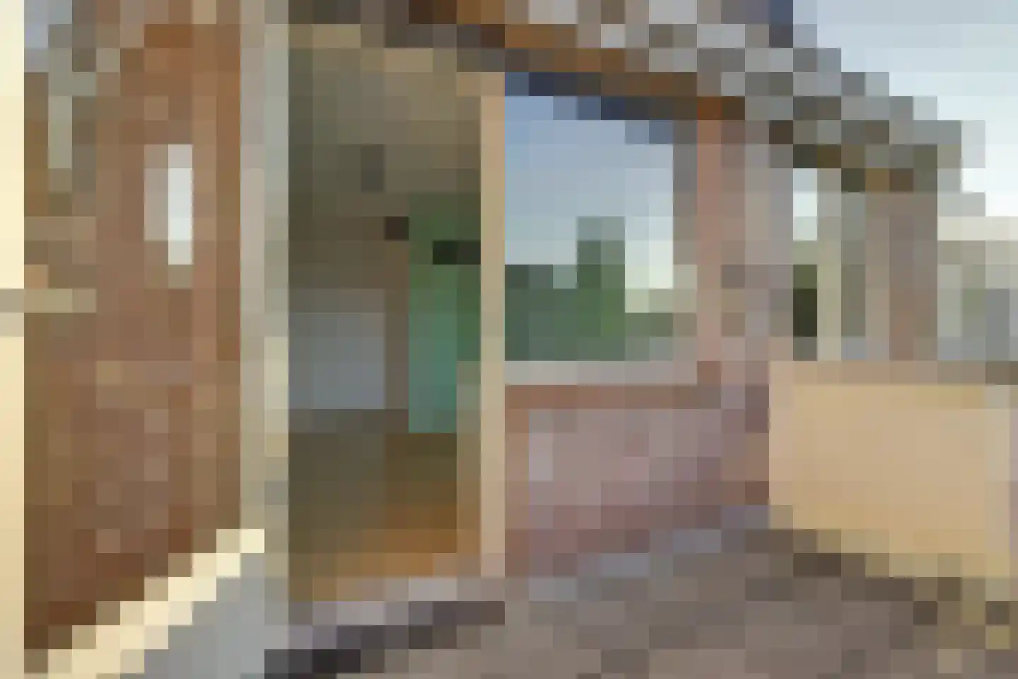 Koepelstraat 39 Bergen op Zoom thumbnail 23
