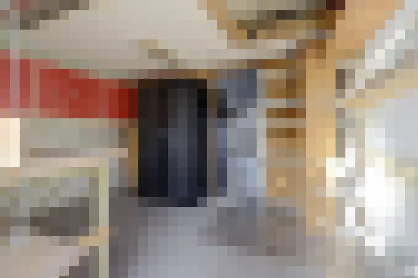 Koepelstraat 39 Bergen op Zoom thumbnail 36