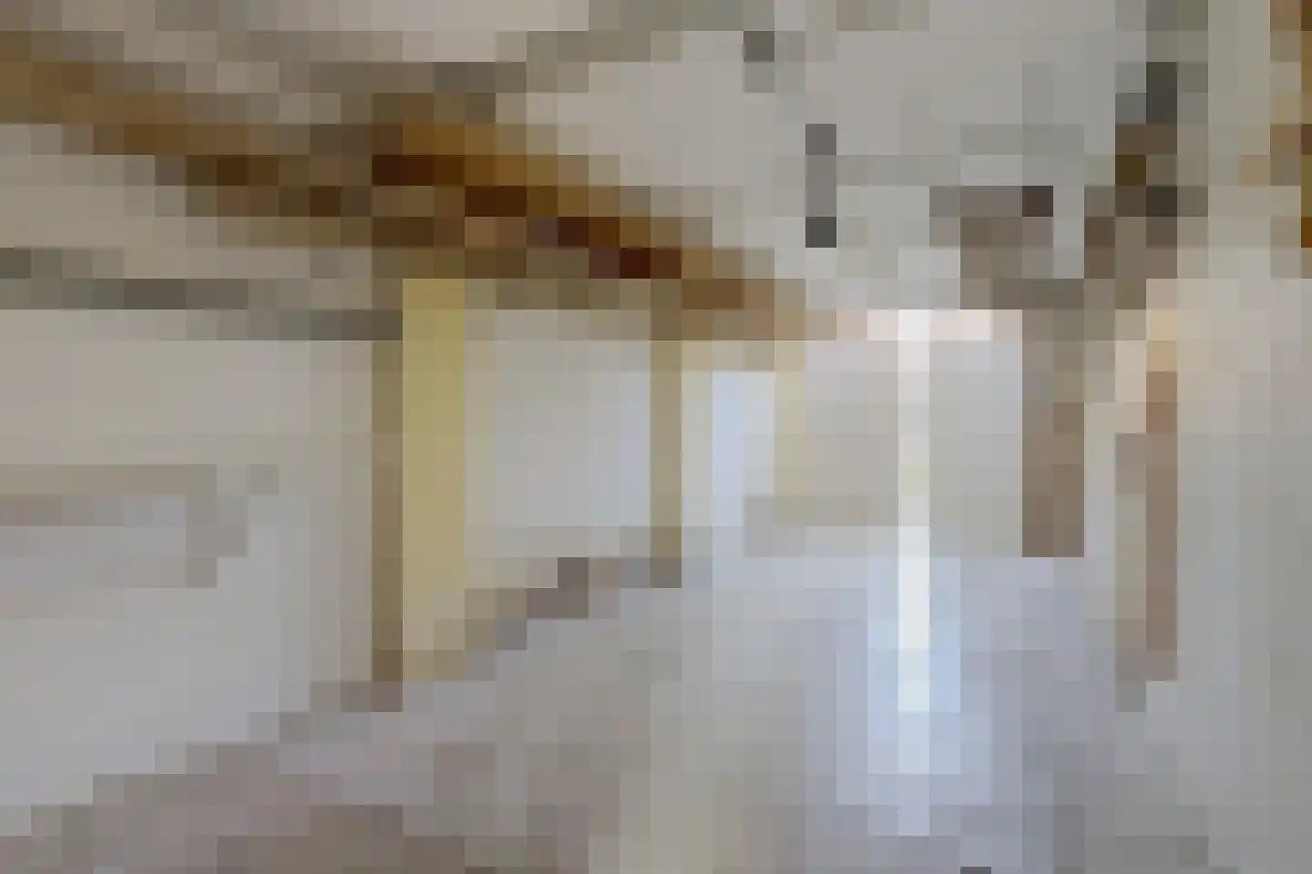 Koepelstraat 39 Bergen op Zoom thumbnail 40