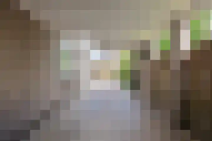 Koepelstraat 9 Rosmalen thumbnail 43