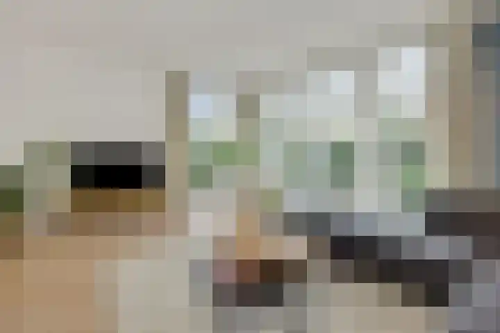 Koepelstraat 9 Rosmalen thumbnail 5