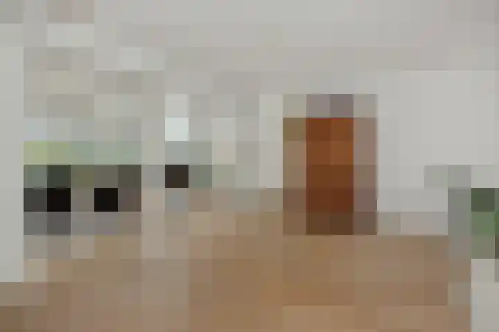 Koepelstraat 9 Rosmalen thumbnail 7