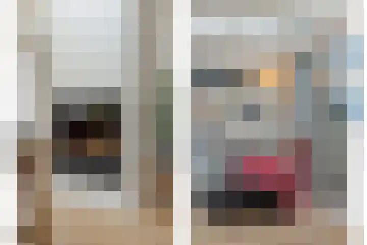 Koepelstraat 9 Rosmalen thumbnail 9