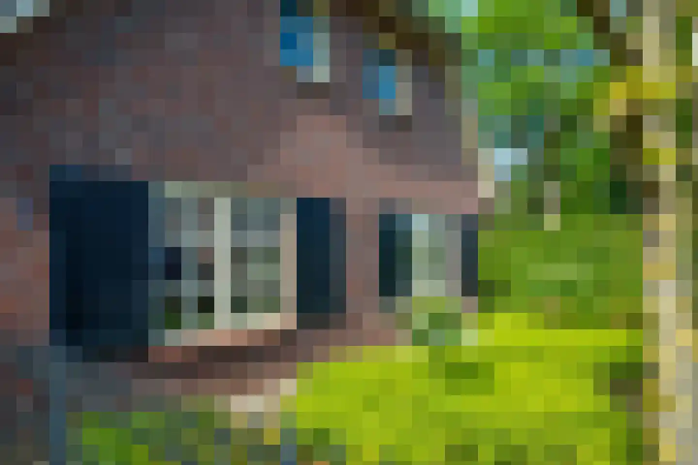 Koepelweg 13 Keijenborg thumbnail 10