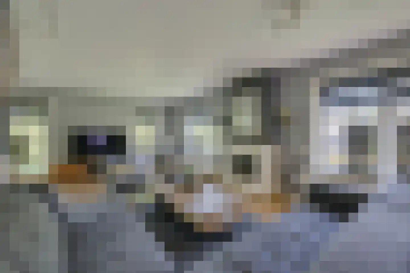 Koepelweg 13 Keijenborg thumbnail 18
