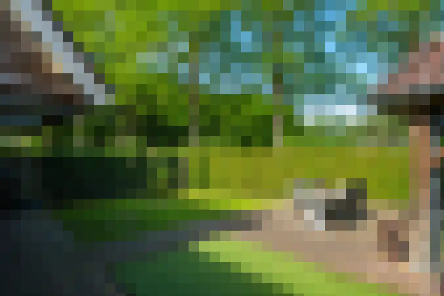 Koepelweg 13 Keijenborg thumbnail 63