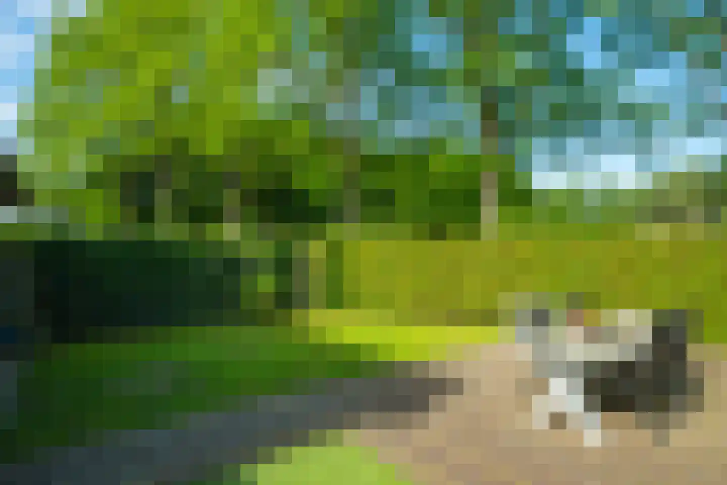 Koepelweg 13 Keijenborg thumbnail 64