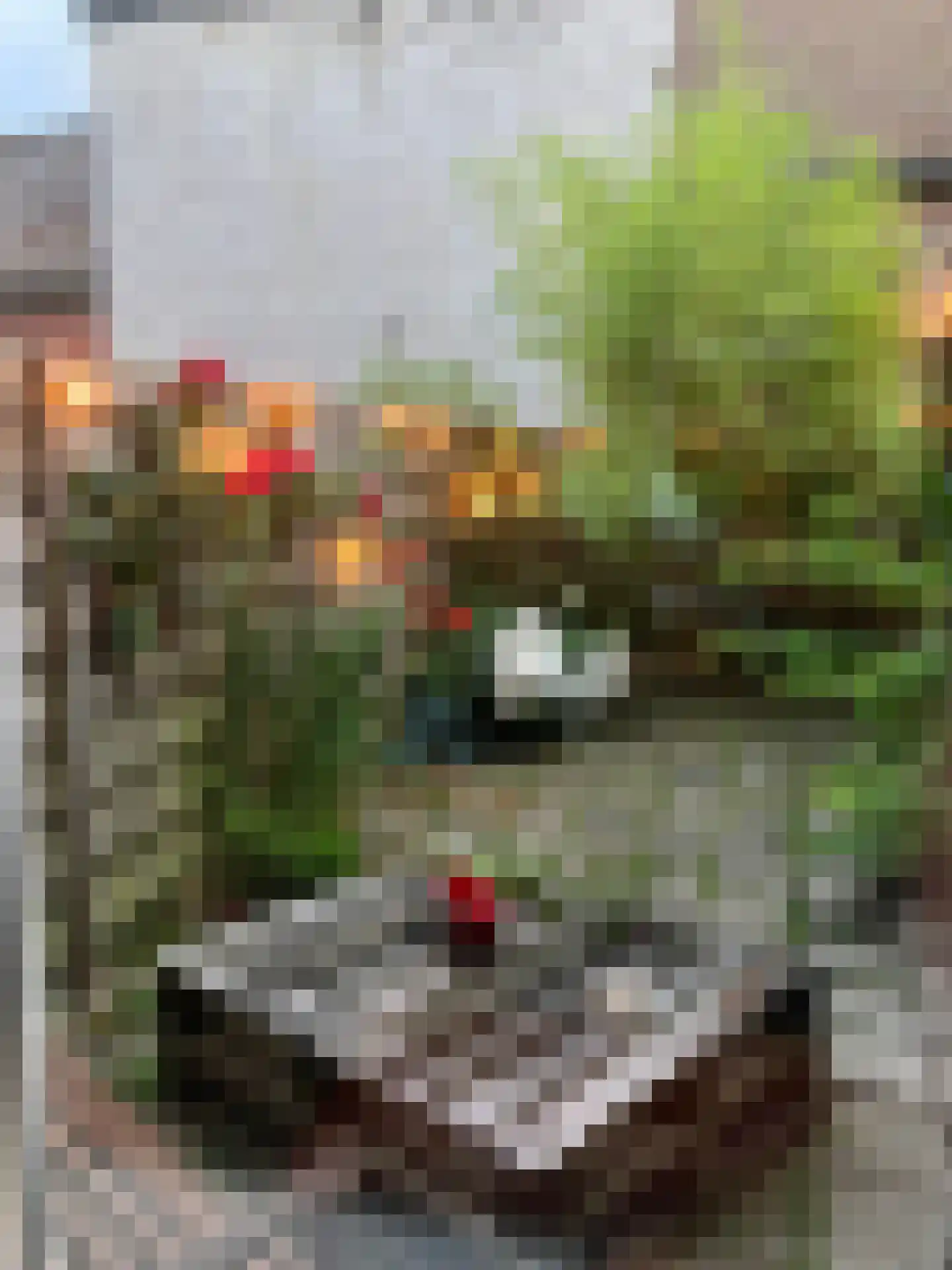 Koeplein 13 Leeuwarden thumbnail 18