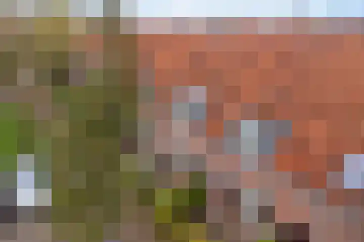 Koeplein 8 Leeuwarden thumbnail 6