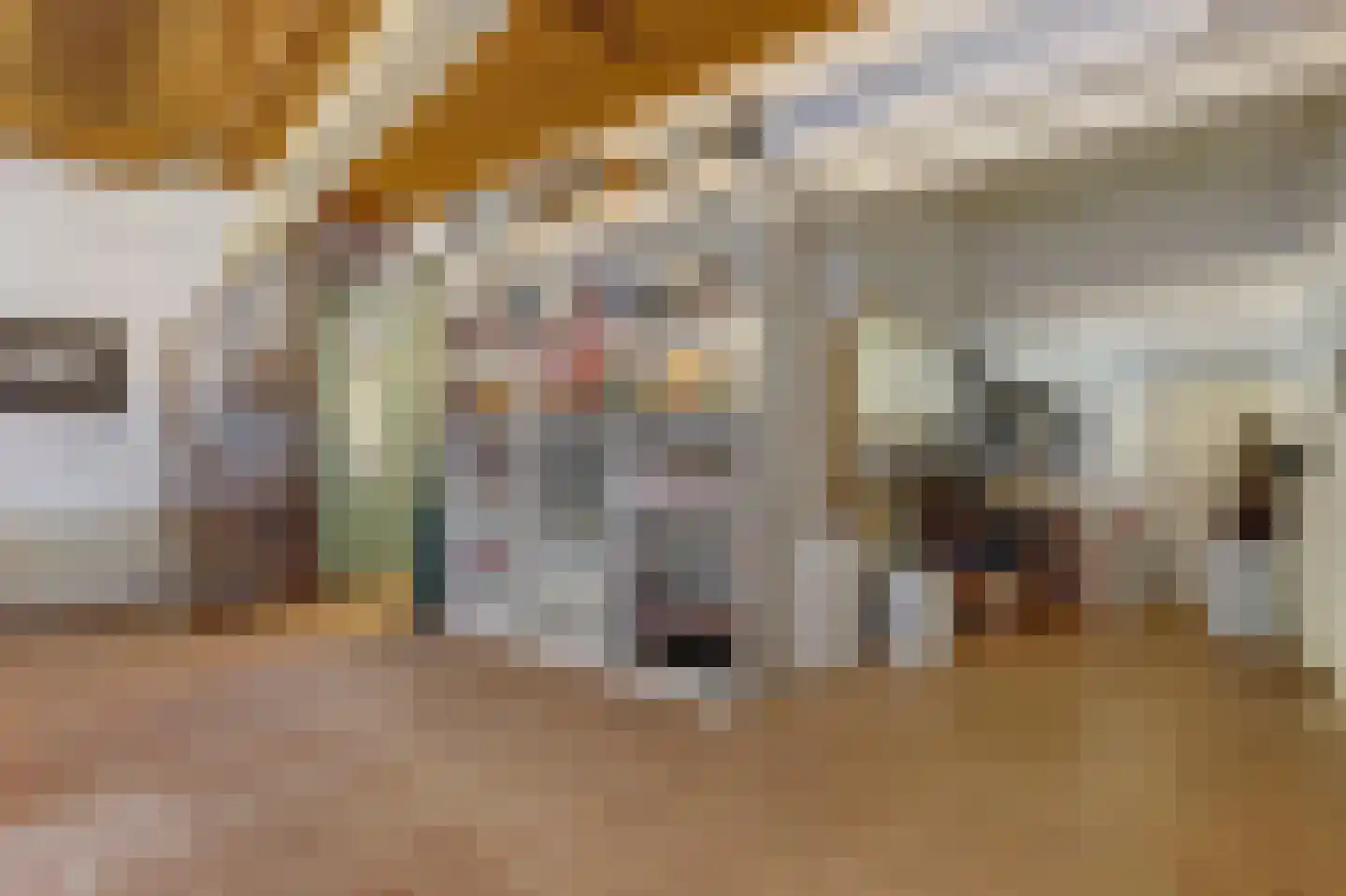 Koepoortstraat 13 Middelburg thumbnail 10